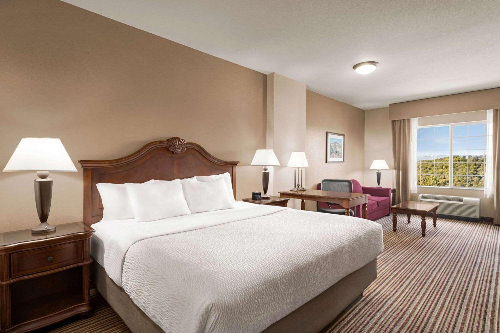 One-Bedroom King Suite with Mountain View